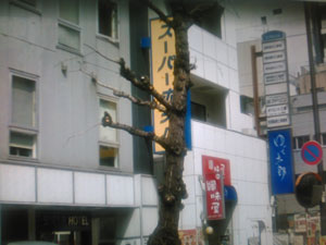 スーパーホテル上野・御徒町